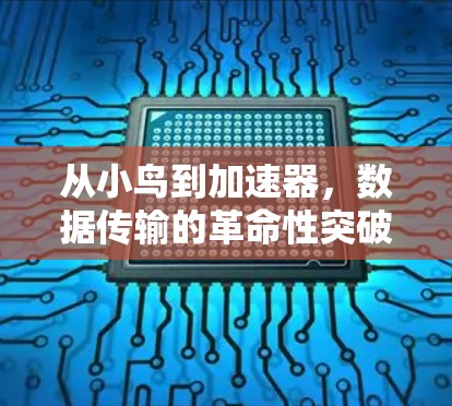 从小鸟到加速器,数据传输的革命性突破 从小鸟到加速器,数据传输的革命性突破