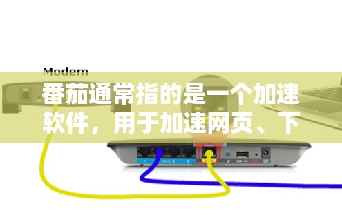 番茄通常指的是一个加速软件，用于加速网页、下载、视频、音乐等文件。如果你指的是使用番茄软件加速加速器，通常是指通过番茄软件的加速功能来加速下载或使用某个应用或网站。下面是一些关于番茄和加速器的建议