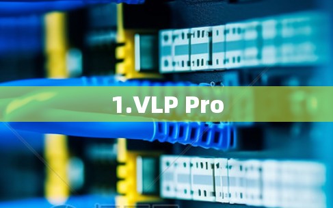 1.VLP Pro 1.VLP Pro