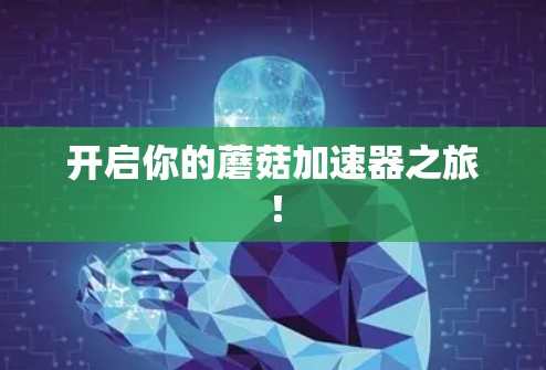 开启你的蘑菇加速器之旅！