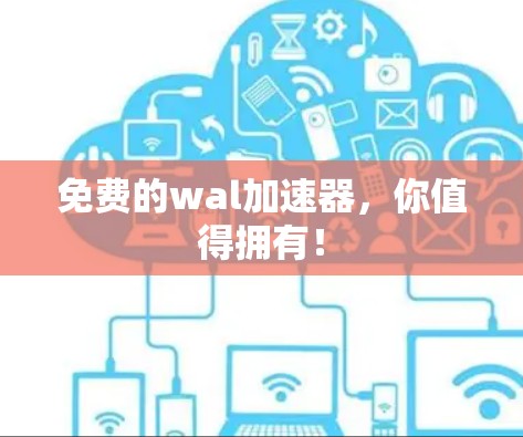 免费的wal加速器，你值得拥有！