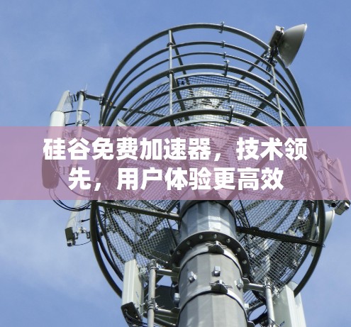 硅谷免费加速器，技术领先，用户体验更高效