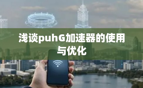 浅谈puhG加速器的使用与优化