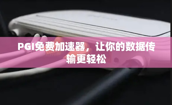 PGI免费加速器，让你的数据传输更轻松