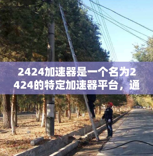 2424加速器是一个名为2424的特定加速器平台，通常涉及多种加速功能，如流量管理、网络优化、带宽分配和流量分发。以下是关于2424加速器的详细分析