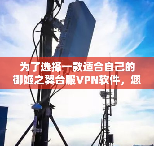 为了选择一款适合自己的御姬之翼台服VPN软件，您可以按照以下步骤进行决策