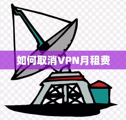 如何取消VPN月租费