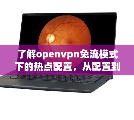 了解openvpn免流模式下的热点配置，从配置到安全守护