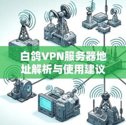 白鸽VPN服务器地址解析与使用建议