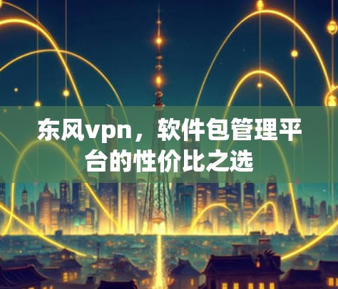 东风vpn，软件包管理平台的性价比之选