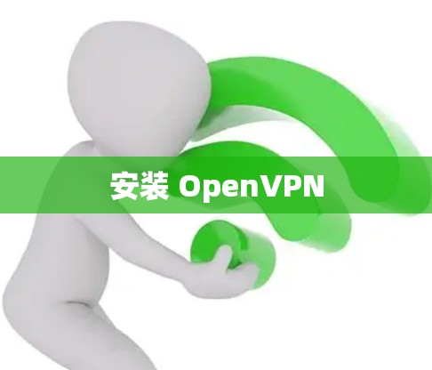 安装 OpenVPN
