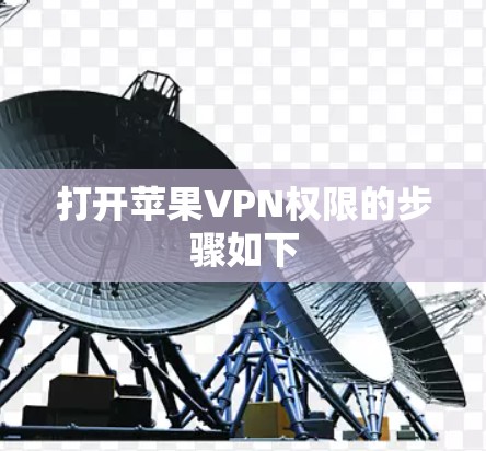 打开苹果VPN权限的步骤如下