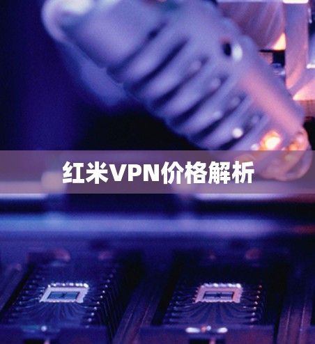 红米VPN价格解析