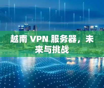 越南 VPN 服务器，未来与挑战
