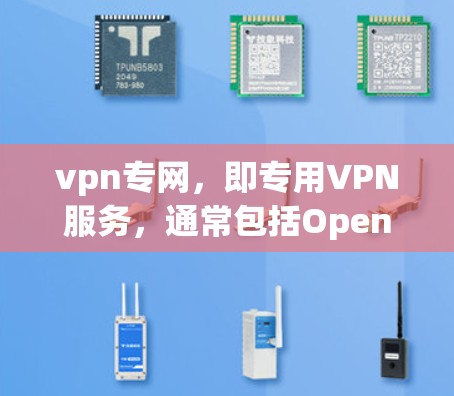 vpn专网，即专用VPN服务，通常包括OpenVPN等类型。其价格因多种因素而异，包括但不限于