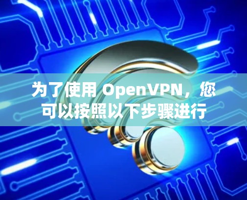 为了使用 OpenVPN，您可以按照以下步骤进行