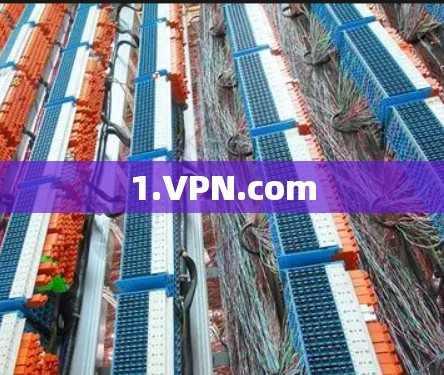 1.VPN.com