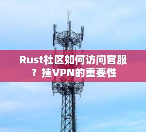 Rust社区如何访问官服？挂VPN的重要性