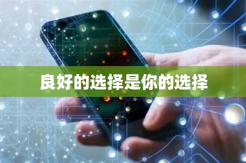 良好的选择是你的选择