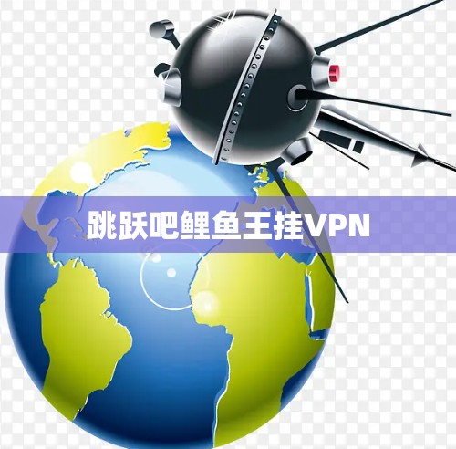 跳跃吧鲤鱼王挂VPN