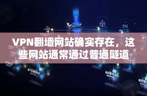VPN翻墙网站确实存在，这些网站通常通过普通隧道连接，使用加密技术来传输数据。尽管这些网站可能看起来安全，但它们也可能隐藏着安全威胁。以下是一些关键点