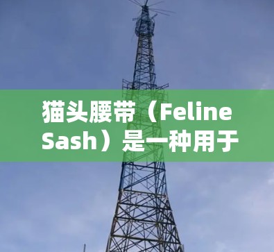猫头腰带（Feline Sash）是一种用于保护宠物猫头的护腰带，常见于宠物护理和宠物用品的市场中。以下是一些关于如何正确使用猫头腰带的步骤