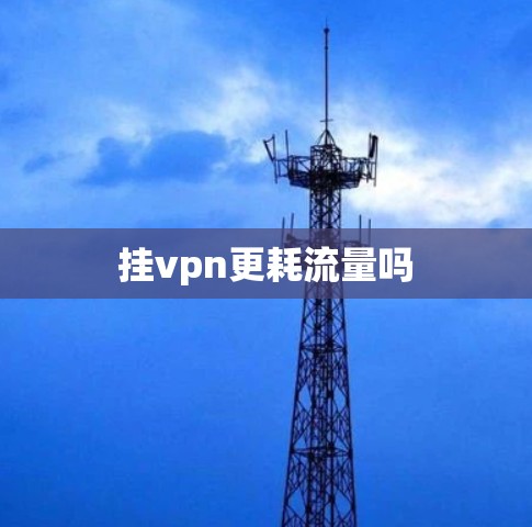 挂vpn更耗流量吗