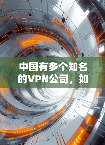 中国有多个知名的VPN公司，如美线、网谷、飞天等，这些公司提供多种服务，包括VPN、加密通信等。如果你想访问中国的VPN服务，建议关注这些公司的账号信息和登录方式