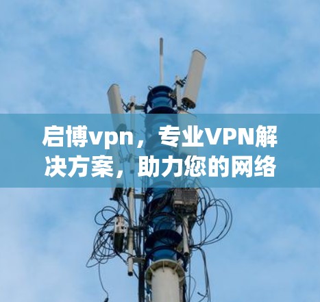 启博vpn，专业VPN解决方案，助力您的网络安全与高效连接