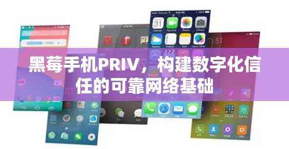 黑莓手机PRIV，构建数字化信任的可靠网络基础