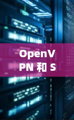 OpenVPN 和 Self-Generated VPN 是两个用于加密通信的协议，各自具备不同的特点和应用场景。以下是对这两个协议的详细分析