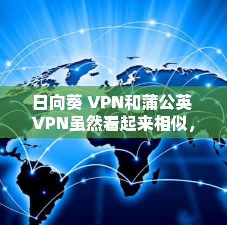 日向葵 VPN和蒲公英 VPN虽然看起来相似，但它们在技术细节和适用场景上有不同的区别。以下是对这两个 VPN 的详细分析