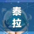 泰拉瑞亚（Tahiti）作为一个位于印度尼西亚的岛屿城市，拥有丰富的石油和天然气资源，这使得它在VPN服务市场中具有一定的优势。以下是一些关于泰拉瑞亚VPN地址的建议