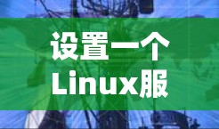设置一个Linux服务器上的安卓VPN需要遵循以下步骤