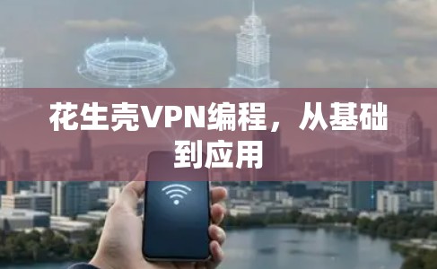 花生壳VPN编程，从基础到应用