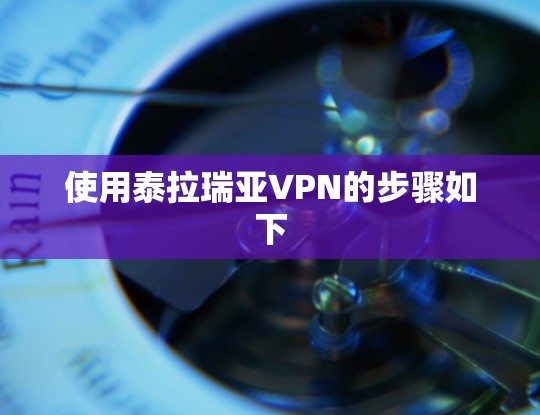 使用泰拉瑞亚VPN的步骤如下