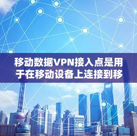 移动数据VPN接入点是用于在移动设备上连接到移动数据VPN（MDSVNP）的设备。以下是对接入点的详细信息