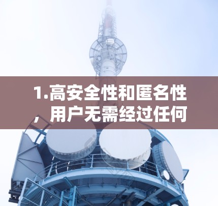 1.高安全性和匿名性，用户无需经过任何中间步骤，直接访问外部网络，保护数据安全和隐私