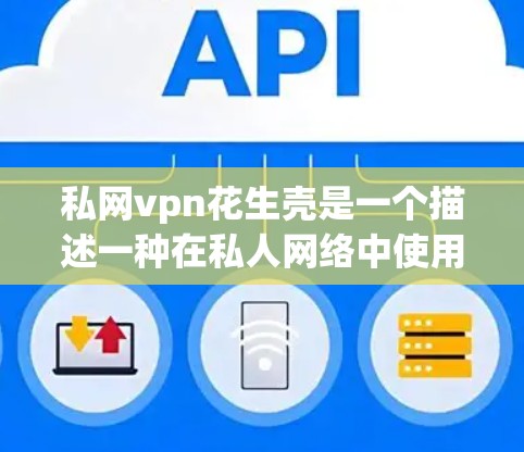 私网vpn花生壳是一个描述一种在私人网络中使用VPN的加密或隐藏结构，用于保护用户数据或在特定的商业或安全需求中使用。具体含义可能包括以下几种