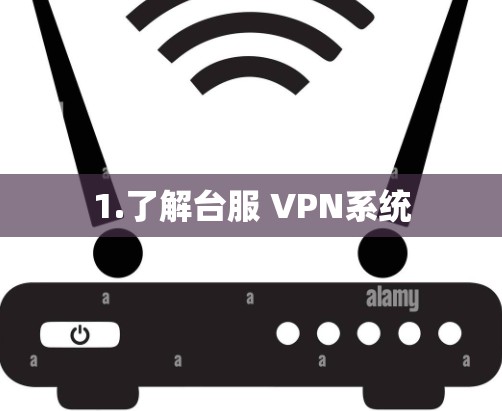 1.了解台服 VPN系统