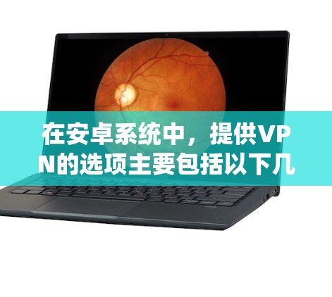 在安卓系统中，提供VPN的选项主要包括以下几类