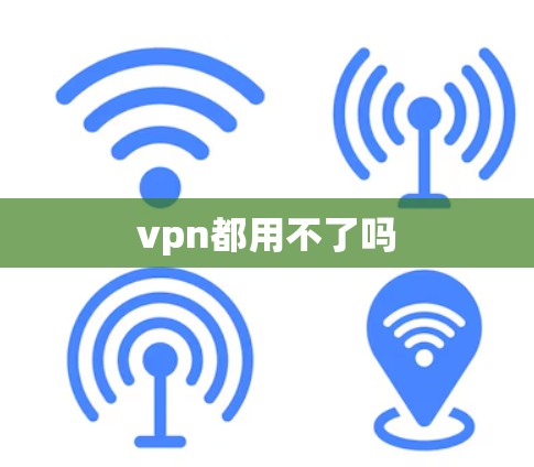 vpn都用不了吗