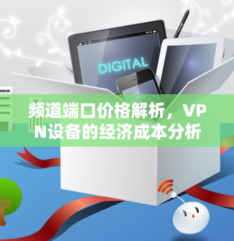 频道端口价格解析，VPN设备的经济成本分析