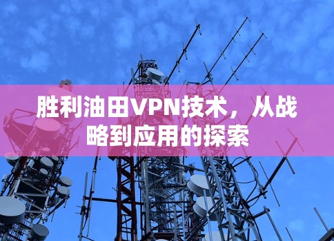 胜利油田VPN技术，从战略到应用的探索