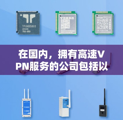 在国内，拥有高速VPN服务的公司包括以下几种