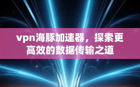 vpn海豚加速器，探索更高效的数据传输之道