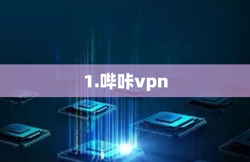 1.哔咔vpn