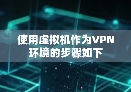 使用虚拟机作为VPN环境的步骤如下
