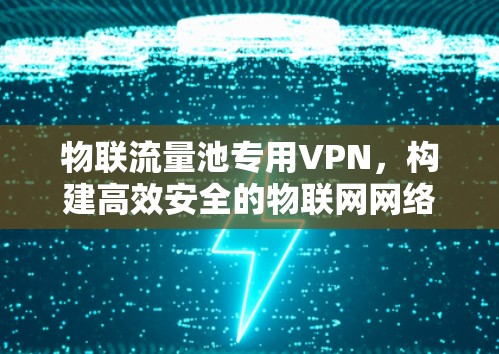 物联流量池专用VPN，构建高效安全的物联网网络