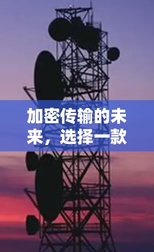加密传输的未来，选择一款好用的VPN，守护你的网络安全